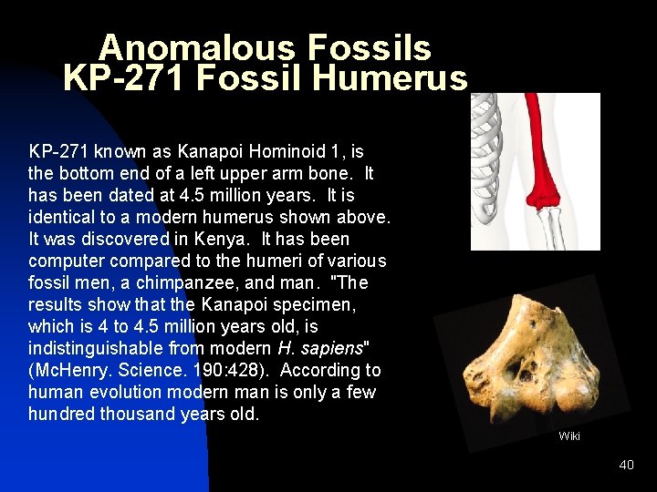 Anomalous Fossils KP-271 Fossil Humerus KP-271 known as Kanapoi Hominoid 1, is the bottom Anomalous Fossils KP-271 Fossil Humerus KP-271 known as Kanapoi Hominoid 1, is the bottom