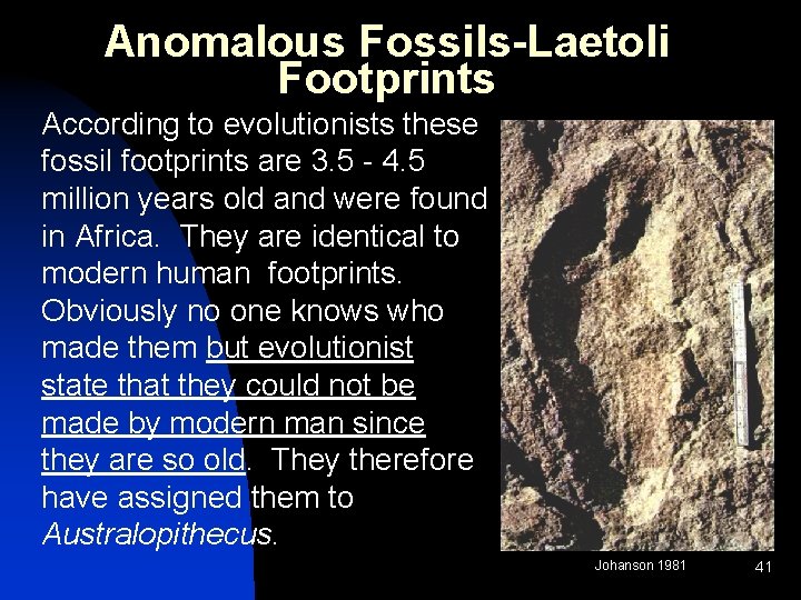 Anomalous Fossils-Laetoli Footprints According to evolutionists these fossil footprints are 3. 5 - 4. Anomalous Fossils-Laetoli Footprints According to evolutionists these fossil footprints are 3. 5 - 4.