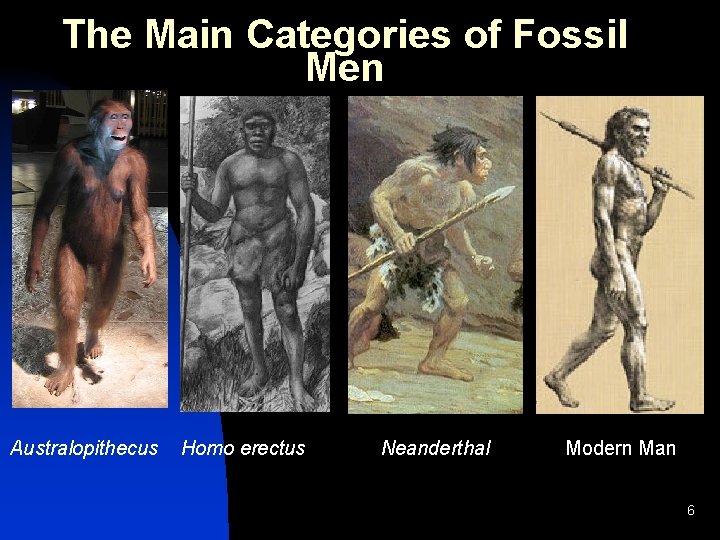 The Main Categories of Fossil Men Australopithecus Homo erectus Neanderthal Modern Man 6 The Main Categories of Fossil Men Australopithecus Homo erectus Neanderthal Modern Man 6