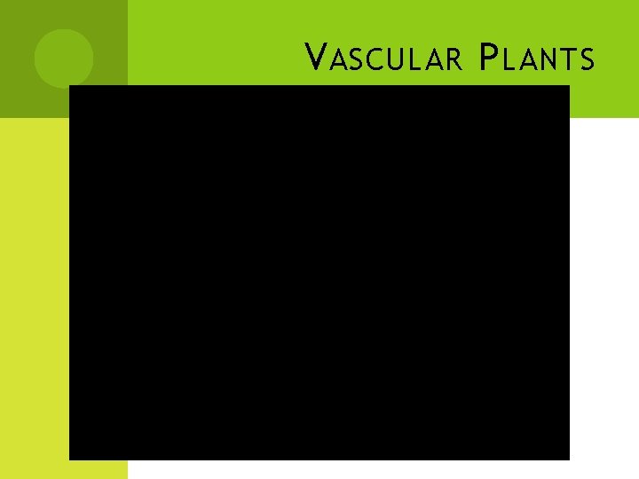 V ASCULAR P LANTS V ASCULAR P LANTS