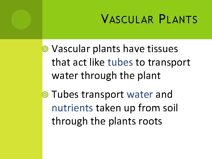 V ASCULAR P LANTS Vascular plants have tissues that act like tubes to transport V ASCULAR P LANTS Vascular plants have tissues that act like tubes to transport