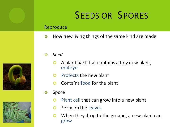 S EEDS OR S PORES Reproduce How new living things of the same kind S EEDS OR S PORES Reproduce How new living things of the same kind