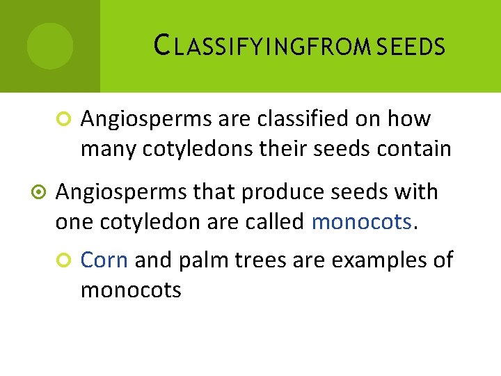 C LASSIFYINGFROM SEEDS Angiosperms are classified on how many cotyledons their seeds contain Angiosperms C LASSIFYINGFROM SEEDS Angiosperms are classified on how many cotyledons their seeds contain Angiosperms