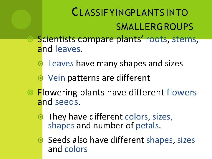 C LASSIFYINGPLANTS INTO SMALLER GROUPS Scientists compare plants’ roots, stems, and leaves. Leaves have C LASSIFYINGPLANTS INTO SMALLER GROUPS Scientists compare plants’ roots, stems, and leaves. Leaves have