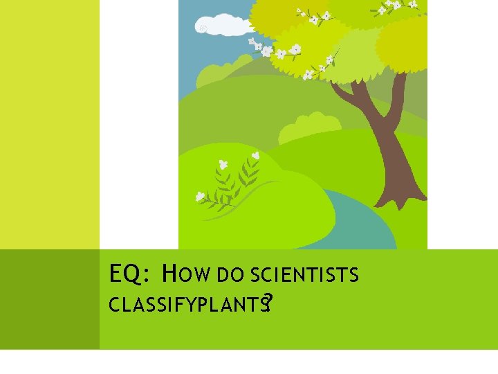 EQ: H OW DO SCIENTISTS CLASSIFYPLANTS? EQ: H OW DO SCIENTISTS CLASSIFYPLANTS?