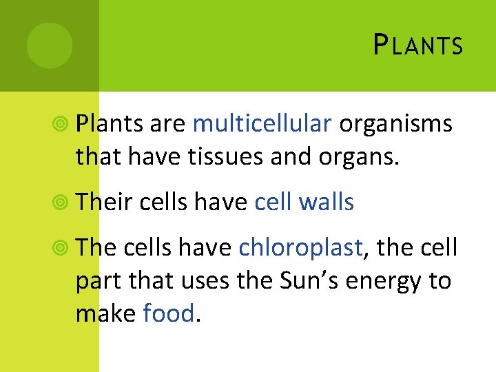P LANTS Plants are multicellular organisms that have tissues and organs. Their cells have P LANTS Plants are multicellular organisms that have tissues and organs. Their cells have