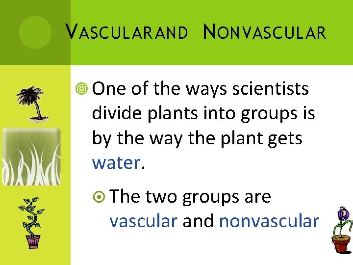 V ASCULAR AND N ONVASCULAR One of the ways scientists divide plants into groups V ASCULAR AND N ONVASCULAR One of the ways scientists divide plants into groups