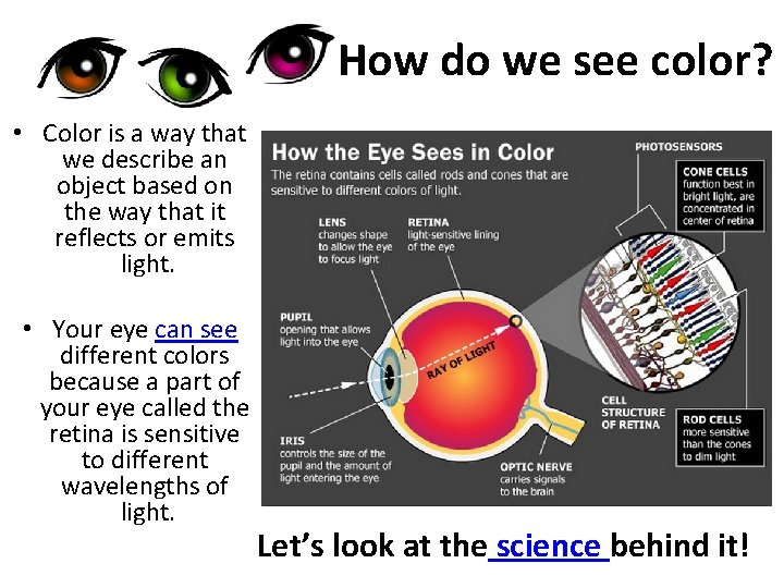 How do we see color? • Color is a way that we describe an