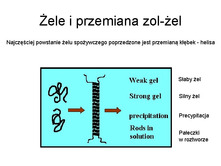 Żele i przemiana zol-żel Najczęściej powstanie żelu spożywczego poprzedzone jest przemianą kłębek - helisa