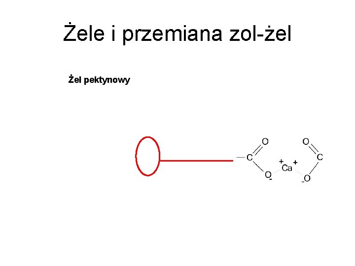 Żele i przemiana zol-żel Żel pektynowy 