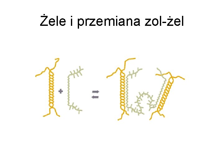 Żele i przemiana zol-żel 