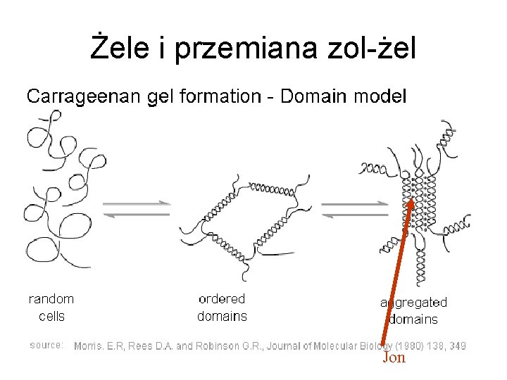 Żele i przemiana zol-żel Jon 