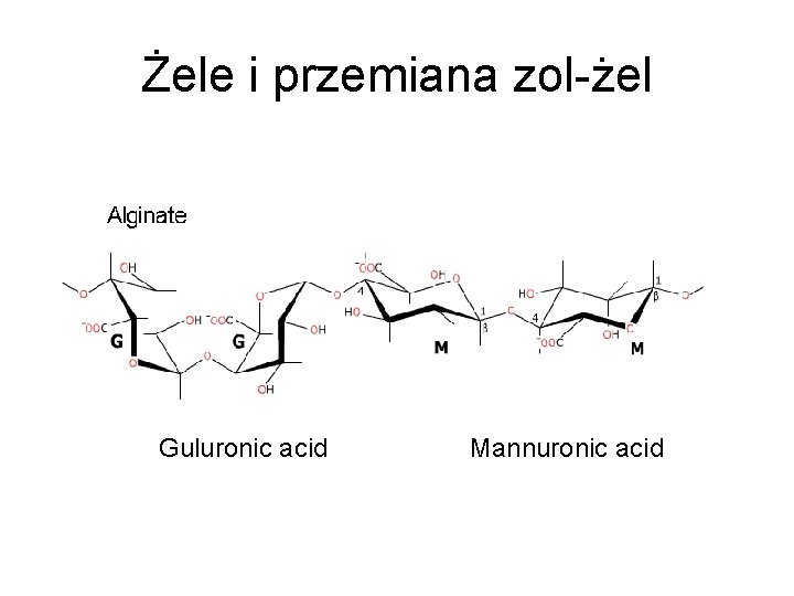 Żele i przemiana zol-żel Guluronic acid Mannuronic acid 