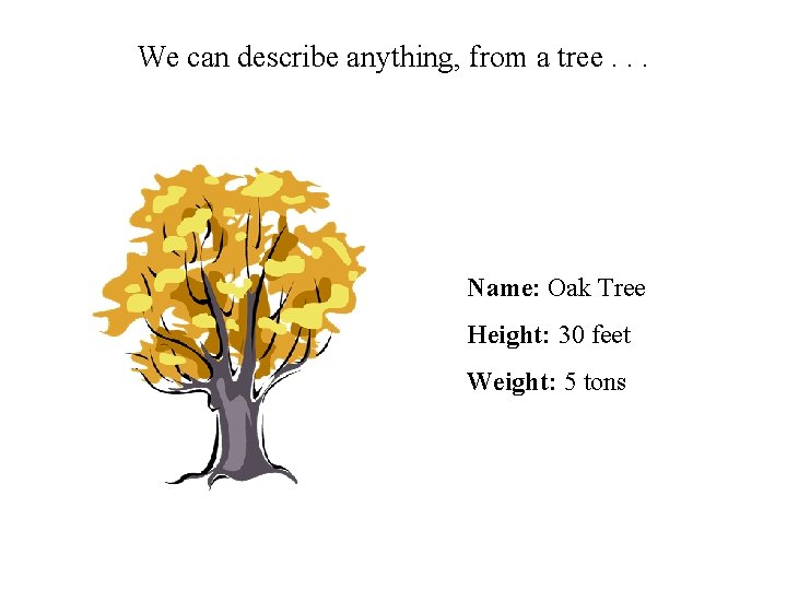 We can describe anything, from a tree. . . Name: Oak Tree Height: 30