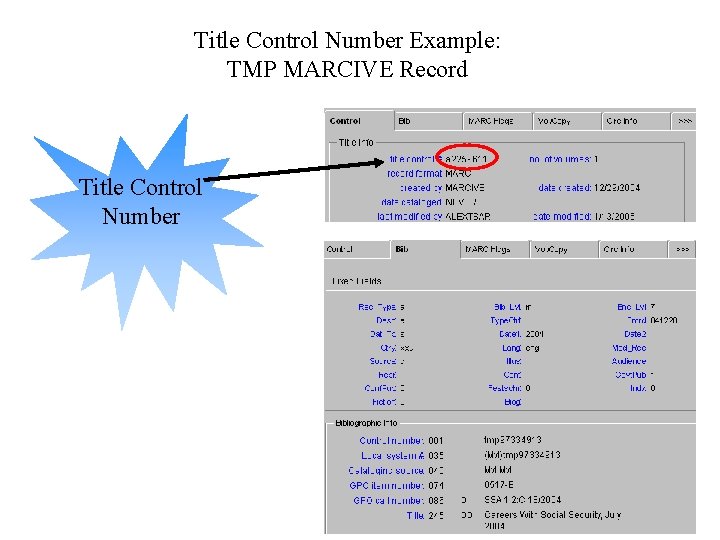 Title Control Number Example: TMP MARCIVE Record Title Control Number 