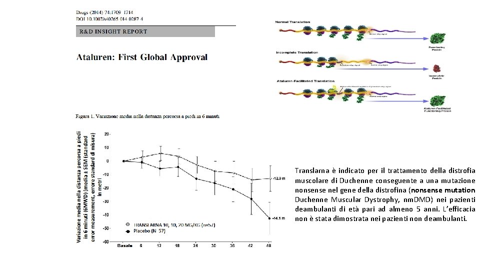 Translarna è indicato per il trattamento della distrofia muscolare di Duchenne conseguente a una