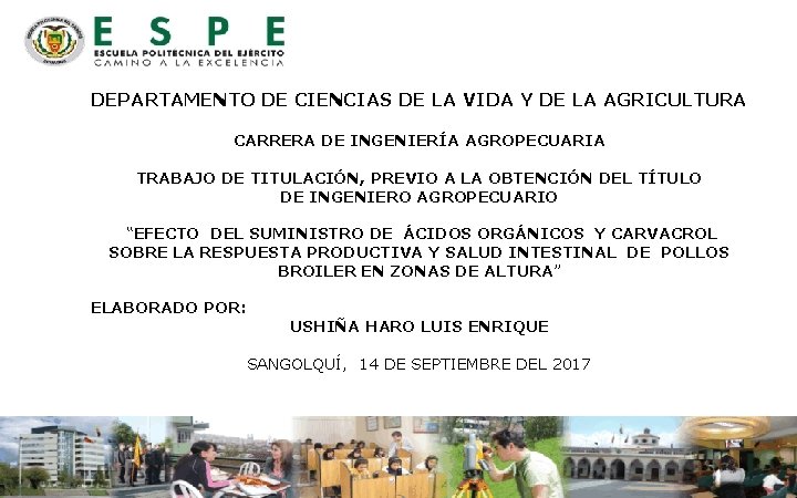 DEPARTAMENTO DE CIENCIAS DE LA VIDA Y DE LA AGRICULTURA CARRERA DE INGENIERÍA AGROPECUARIA