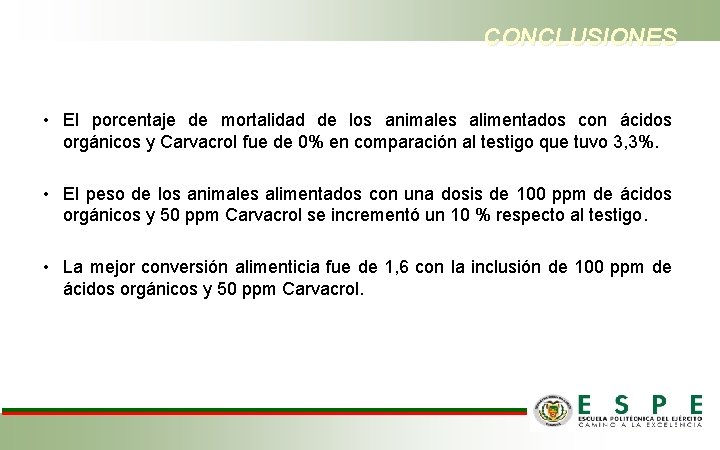 CONCLUSIONES • El porcentaje de mortalidad de los animales alimentados con ácidos orgánicos y