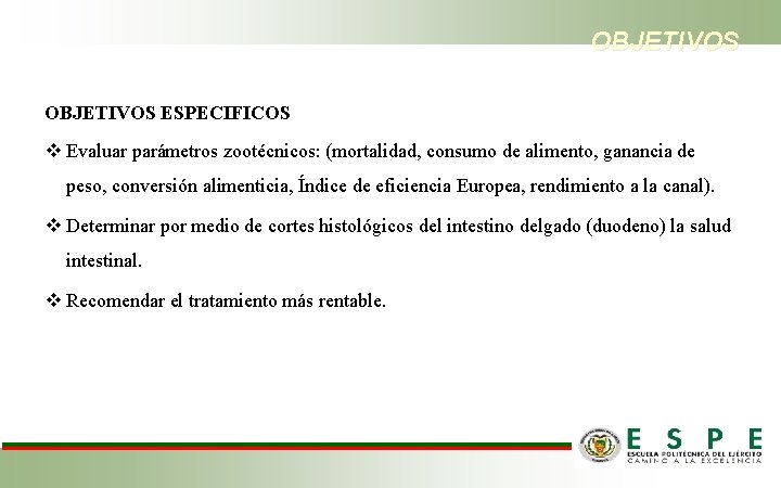 OBJETIVOS ESPECIFICOS v Evaluar parámetros zootécnicos: (mortalidad, consumo de alimento, ganancia de peso, conversión