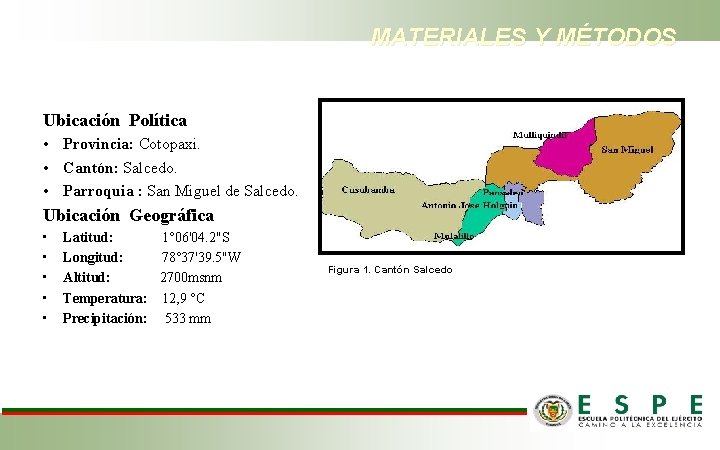 MATERIALES Y MÉTODOS Ubicación Política • Provincia: Cotopaxi. • Cantón: Salcedo. • Parroquia :