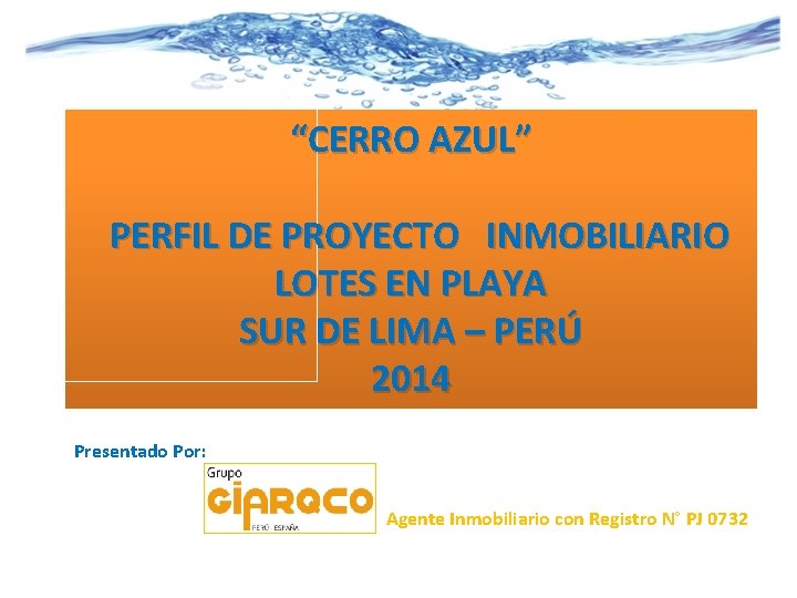 “CERRO AZUL” PERFIL DE PROYECTO INMOBILIARIO LOTES EN PLAYA SUR DE LIMA – PERÚ