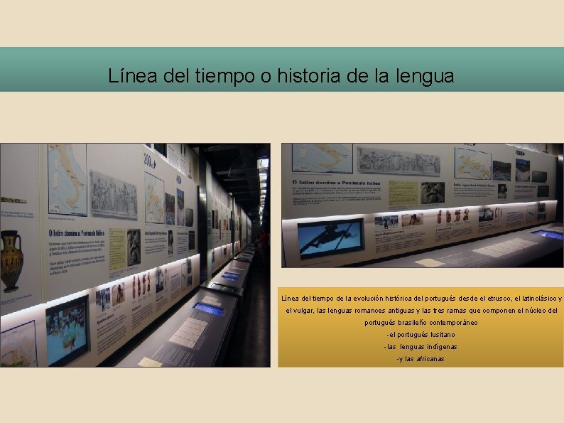 Línea del tiempo o historia de la lengua Línea del tiempo de la evolución