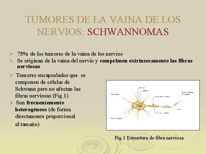 TUMORES DE LA VAINA DE LOS NERVIOS: SCHWANNOMAS Ø Ø 75% de los tumores TUMORES DE LA VAINA DE LOS NERVIOS: SCHWANNOMAS Ø Ø 75% de los tumores