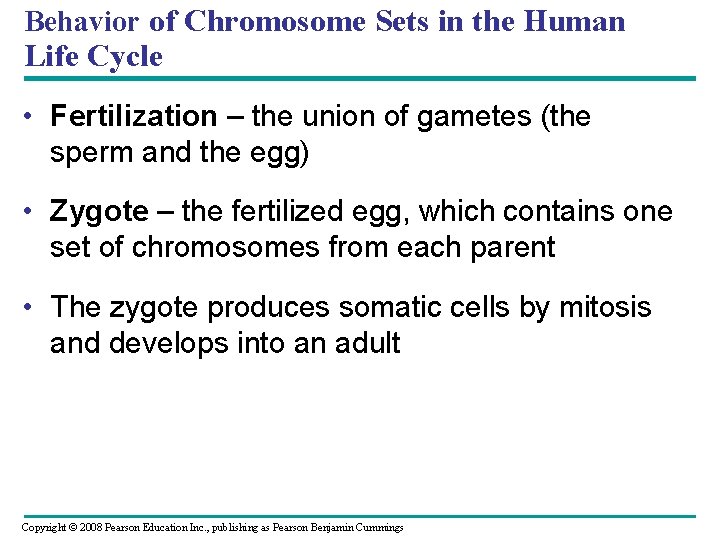 Chapter 13 Meiosis and Sexual Life Cycles Power