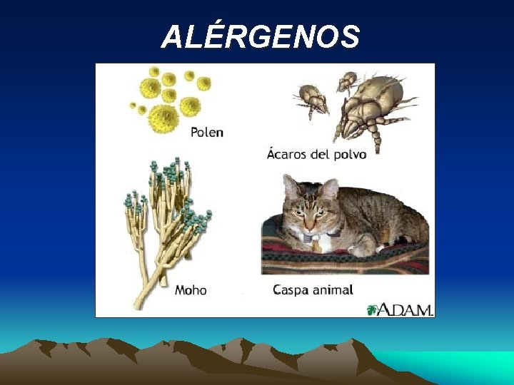 ALÉRGENOS 