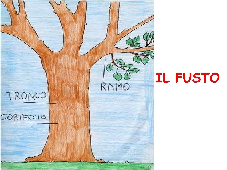 IL FUSTO 