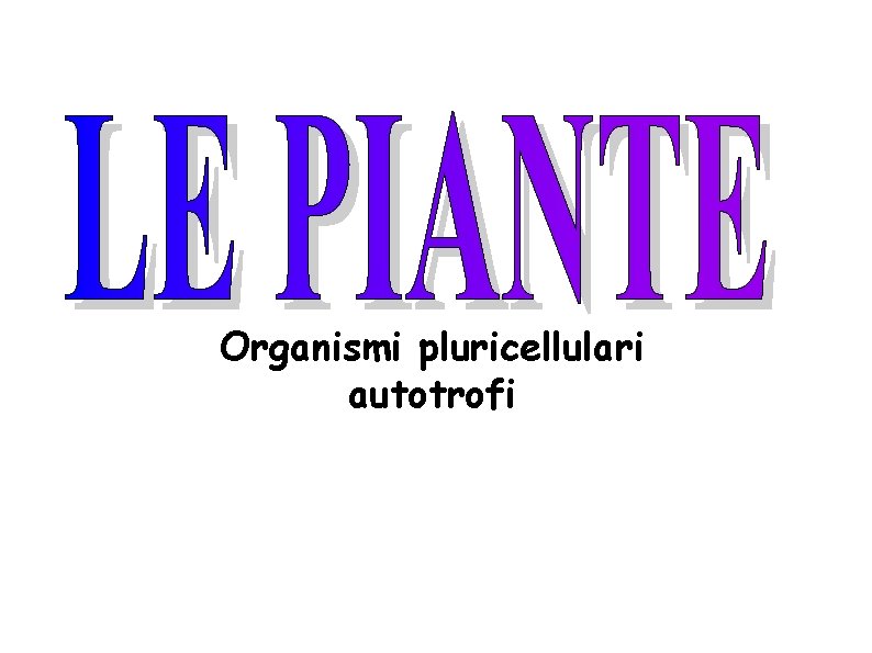 Organismi pluricellulari autotrofi 