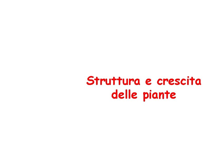 Struttura e crescita delle piante 