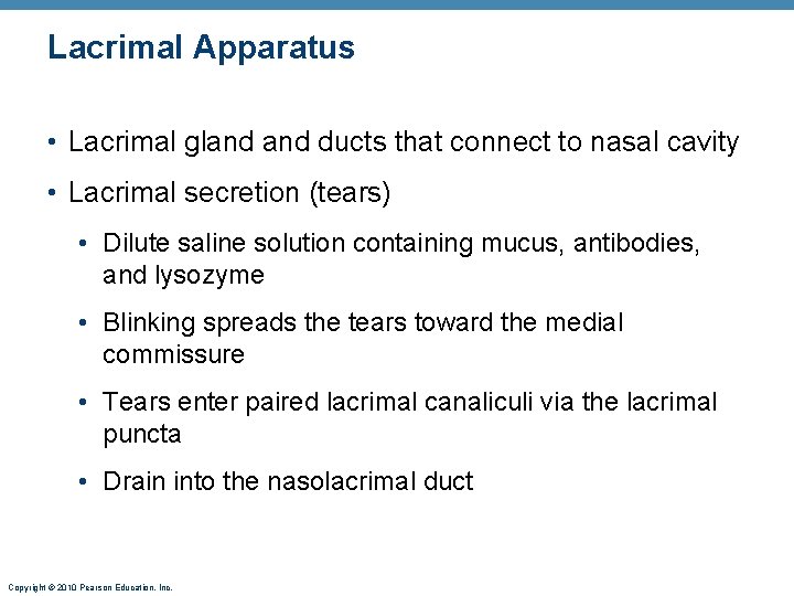 Lacrimal Apparatus • Lacrimal gland ducts that connect to nasal cavity • Lacrimal secretion Lacrimal Apparatus • Lacrimal gland ducts that connect to nasal cavity • Lacrimal secretion