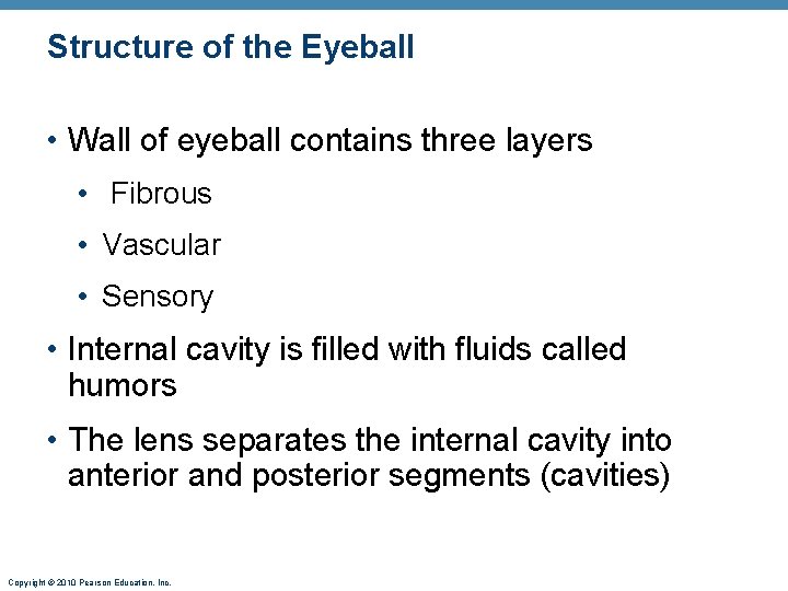 Structure of the Eyeball • Wall of eyeball contains three layers • Fibrous • Structure of the Eyeball • Wall of eyeball contains three layers • Fibrous •