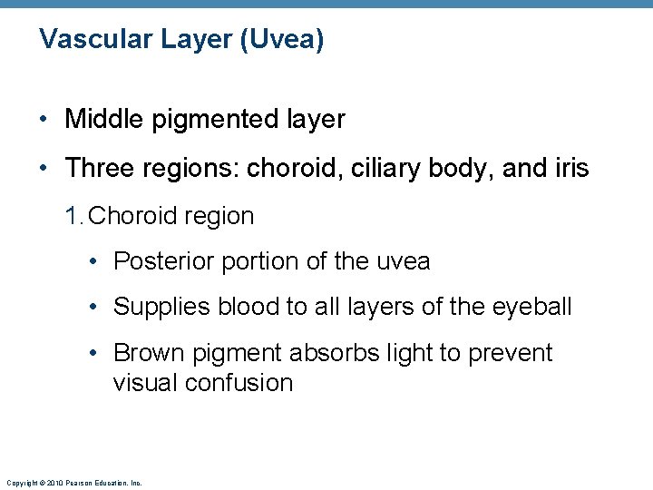 Vascular Layer (Uvea) • Middle pigmented layer • Three regions: choroid, ciliary body, and Vascular Layer (Uvea) • Middle pigmented layer • Three regions: choroid, ciliary body, and