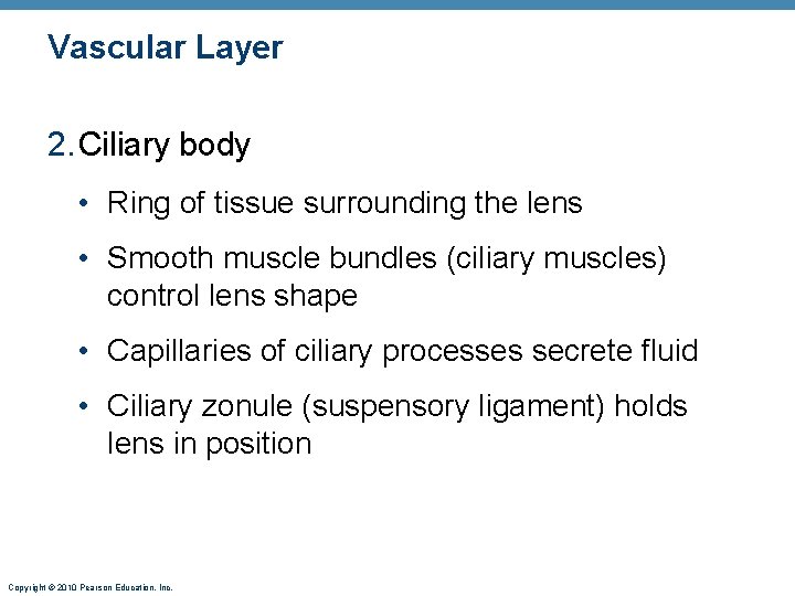 Vascular Layer 2. Ciliary body • Ring of tissue surrounding the lens • Smooth Vascular Layer 2. Ciliary body • Ring of tissue surrounding the lens • Smooth