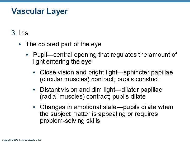 Vascular Layer 3. Iris • The colored part of the eye • Pupil—central opening Vascular Layer 3. Iris • The colored part of the eye • Pupil—central opening
