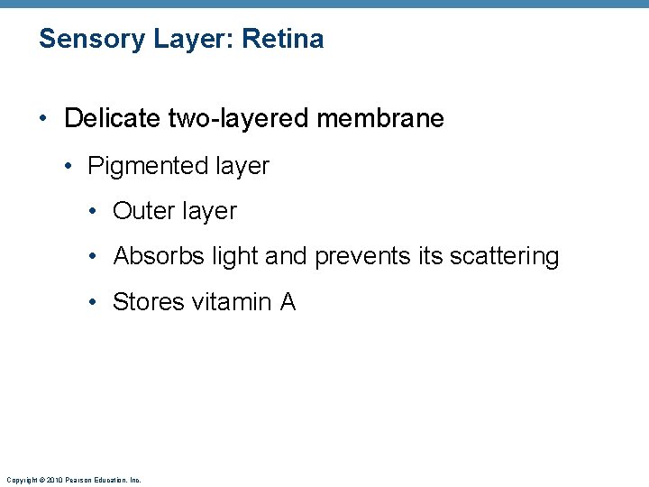 Sensory Layer: Retina • Delicate two-layered membrane • Pigmented layer • Outer layer • Sensory Layer: Retina • Delicate two-layered membrane • Pigmented layer • Outer layer •