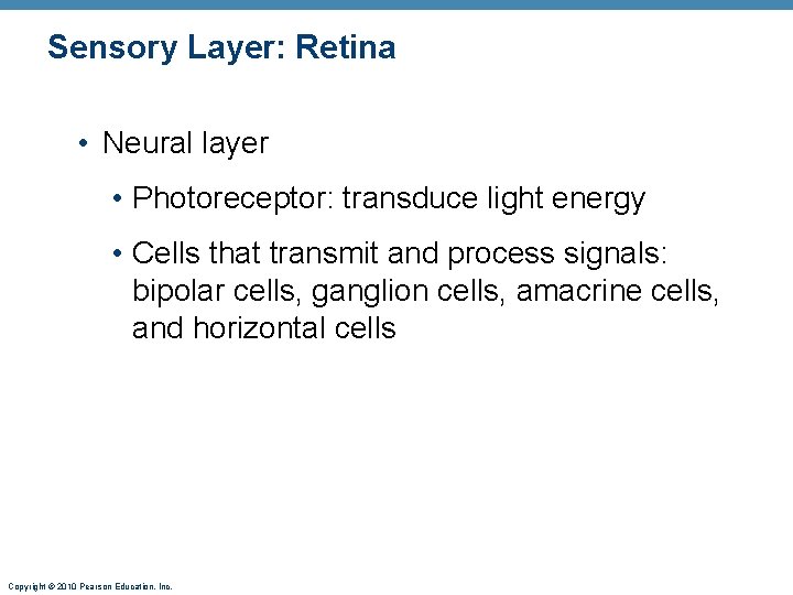 Sensory Layer: Retina • Neural layer • Photoreceptor: transduce light energy • Cells that Sensory Layer: Retina • Neural layer • Photoreceptor: transduce light energy • Cells that
