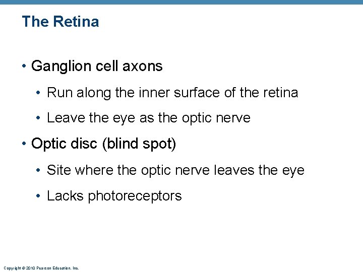 The Retina • Ganglion cell axons • Run along the inner surface of the The Retina • Ganglion cell axons • Run along the inner surface of the