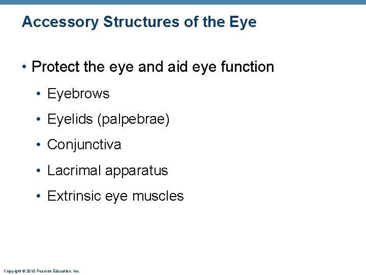 Accessory Structures of the Eye • Protect the eye and aid eye function • Accessory Structures of the Eye • Protect the eye and aid eye function •