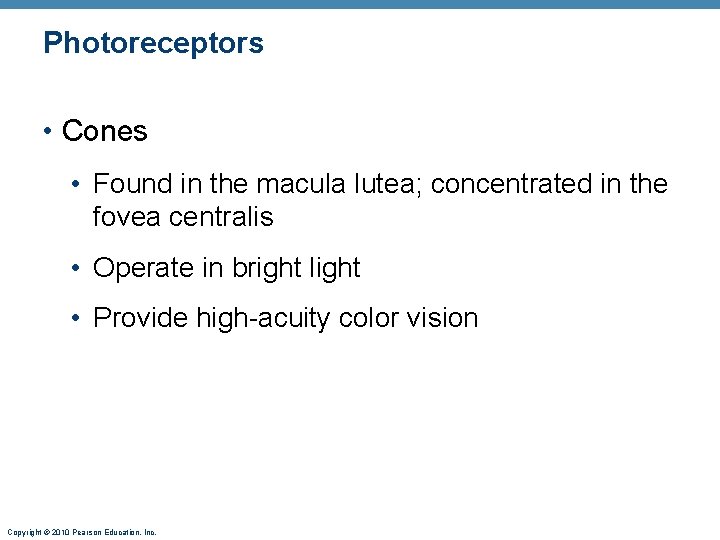Photoreceptors • Cones • Found in the macula lutea; concentrated in the fovea centralis Photoreceptors • Cones • Found in the macula lutea; concentrated in the fovea centralis