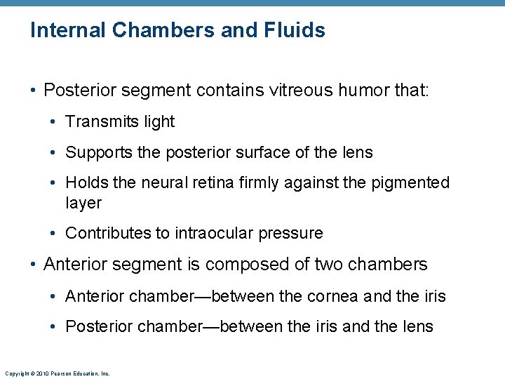 Internal Chambers and Fluids • Posterior segment contains vitreous humor that: • Transmits light Internal Chambers and Fluids • Posterior segment contains vitreous humor that: • Transmits light