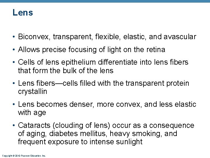 Lens • Biconvex, transparent, flexible, elastic, and avascular • Allows precise focusing of light Lens • Biconvex, transparent, flexible, elastic, and avascular • Allows precise focusing of light