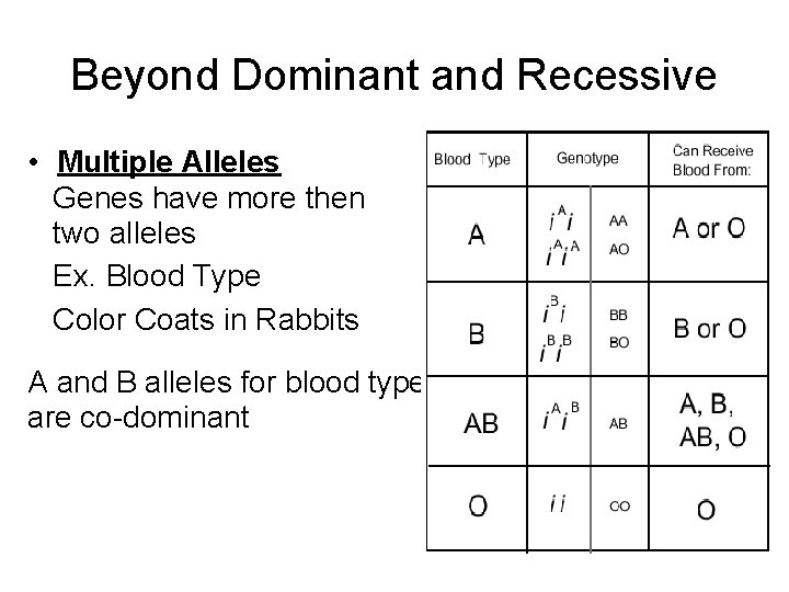 Beyond Dominant and Recessive • Multiple Alleles Genes have more then two alleles Ex.