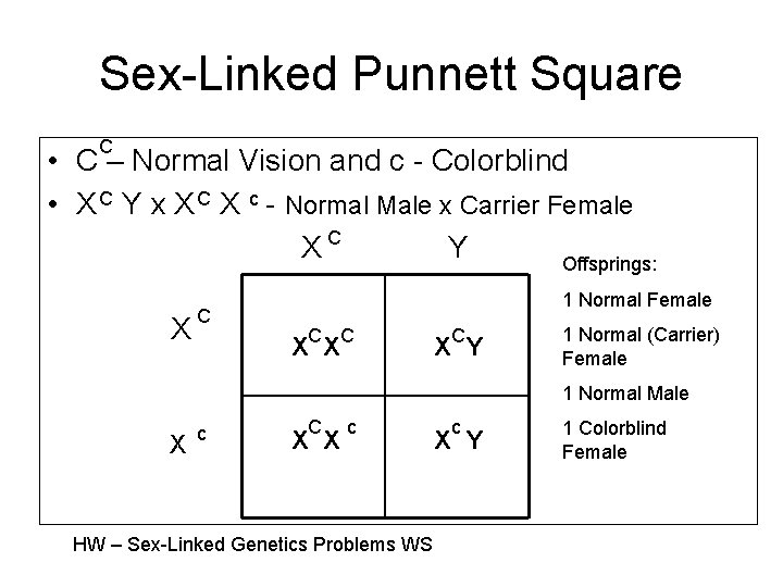 Sex-Linked Punnett Square C • C – Normal Vision and c - Colorblind •