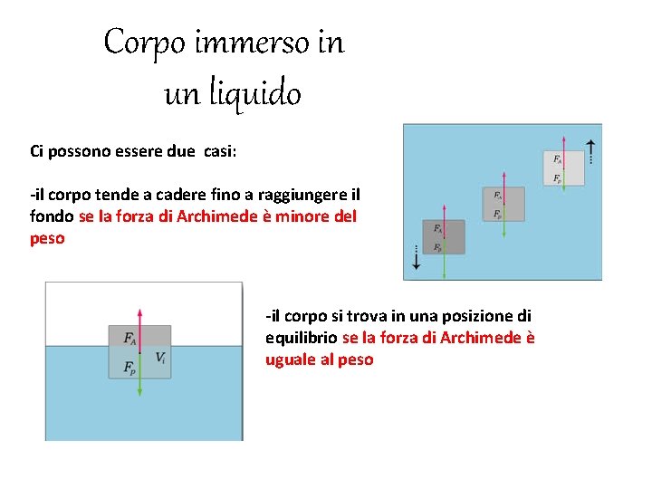 Corpo immerso in un liquido Ci possono essere due casi: -il corpo tende a