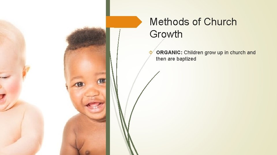 Methods of Church Growth ORGANIC: Children grow up in church and then are baptized