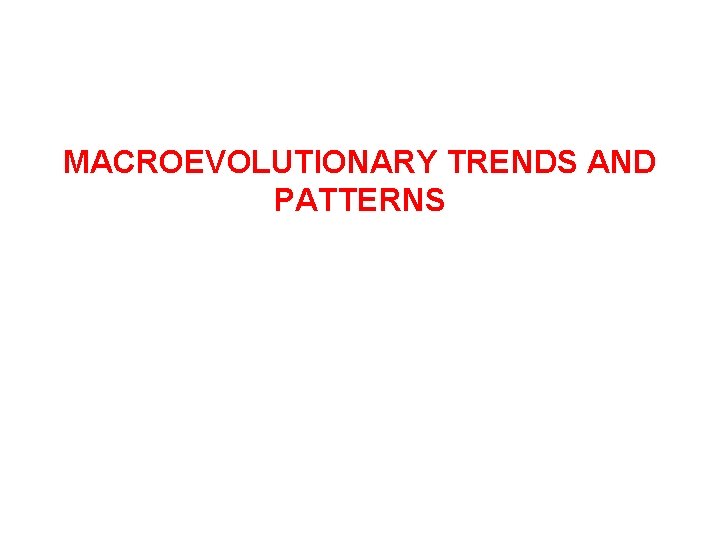 MACROEVOLUTIONARY TRENDS AND PATTERNS 