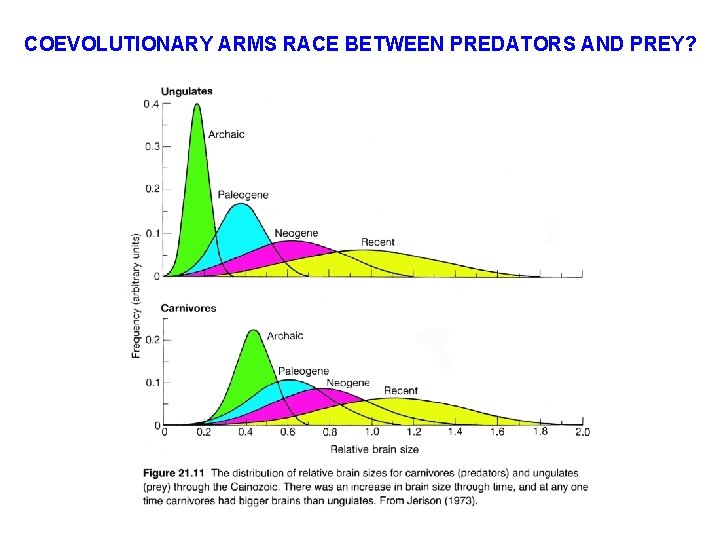 COEVOLUTIONARY ARMS RACE BETWEEN PREDATORS AND PREY? 